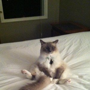 Meet your Posher, Michelle